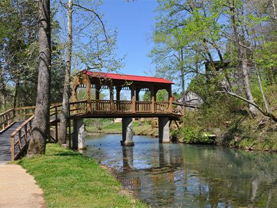 About the Bridges