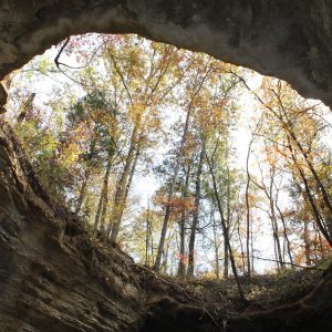 Natural Bridge